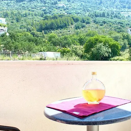 Dani Guest house